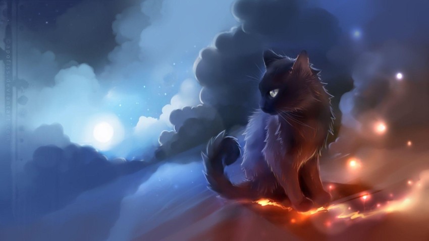 cartoon cat